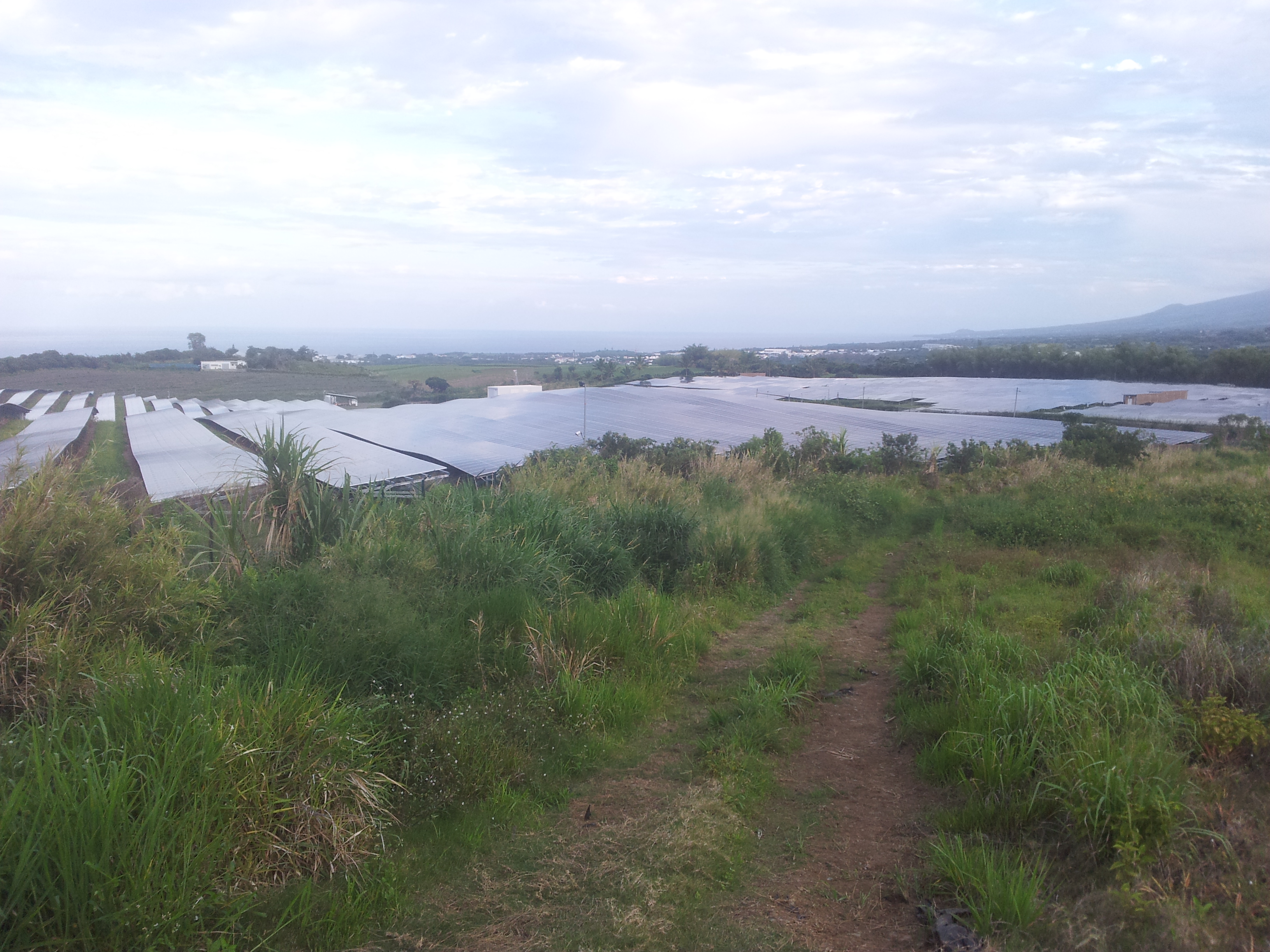 Défiscaliser à La Réunion avec le Girardin industriel