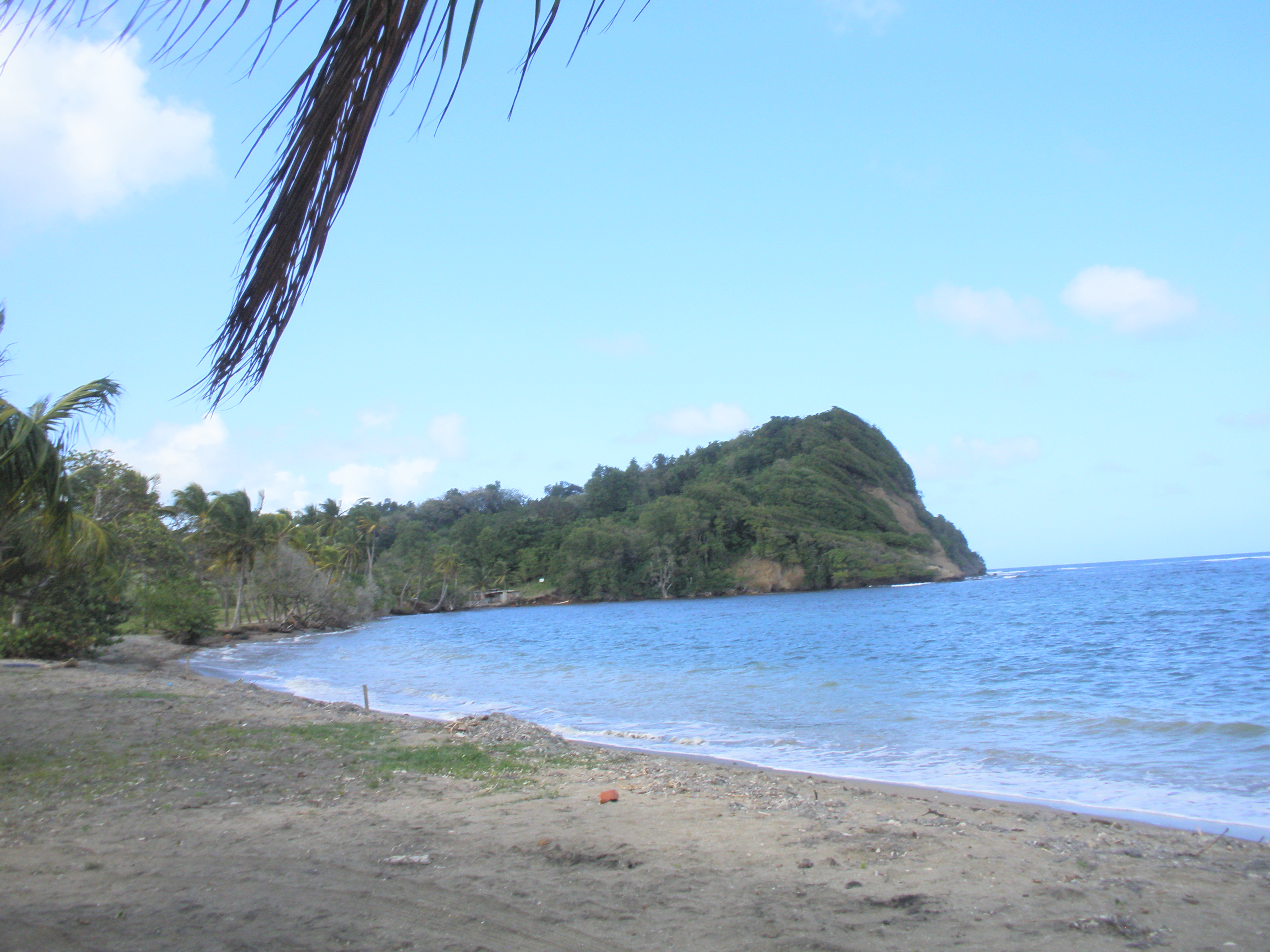 Anse Le Richer à Sainte-Marie, Martinique — contrôle qualité opérations Girardin
