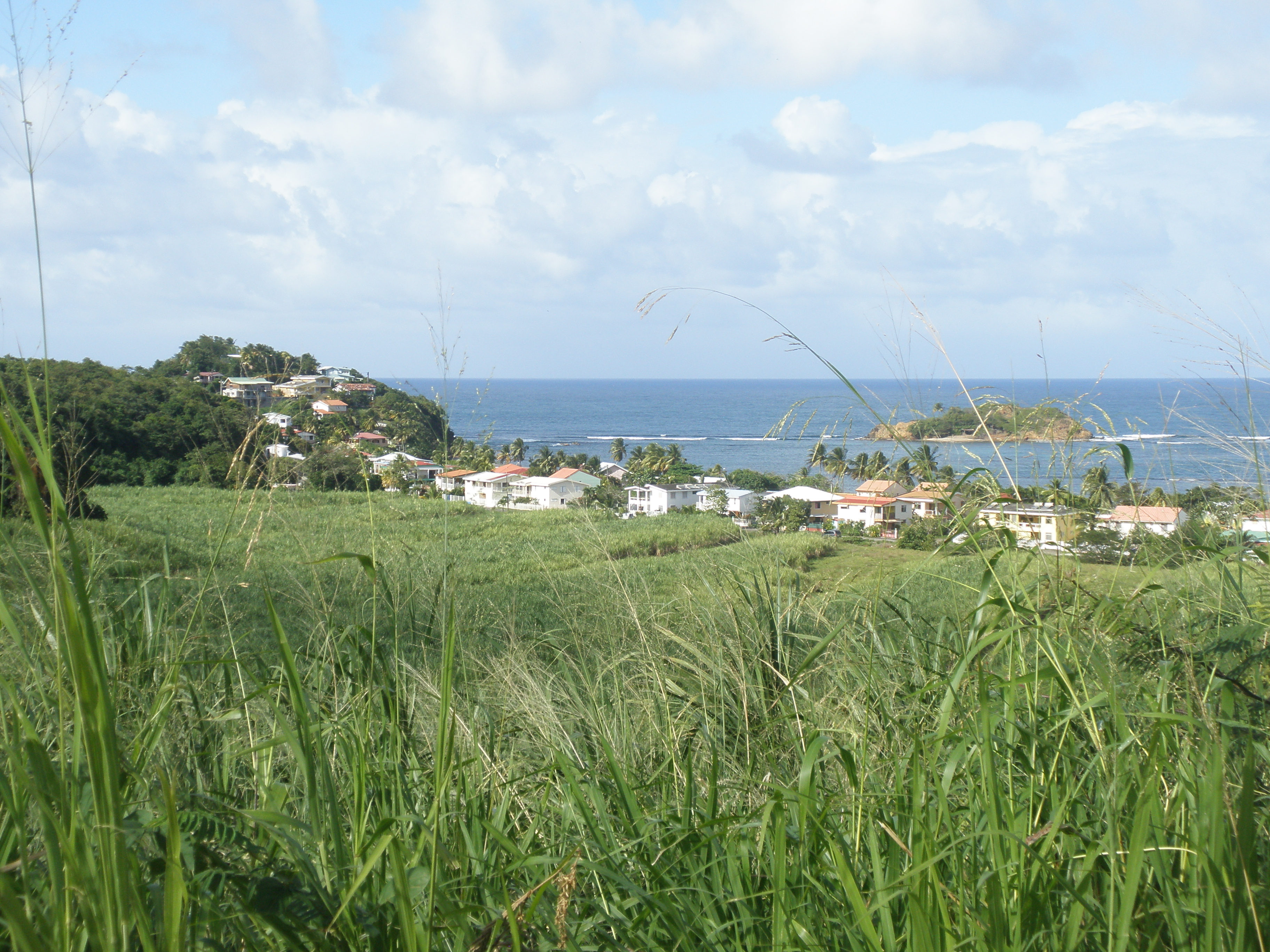 Baie de Tartane (La Trinité, Martinique) — pêche et tourisme nautique
