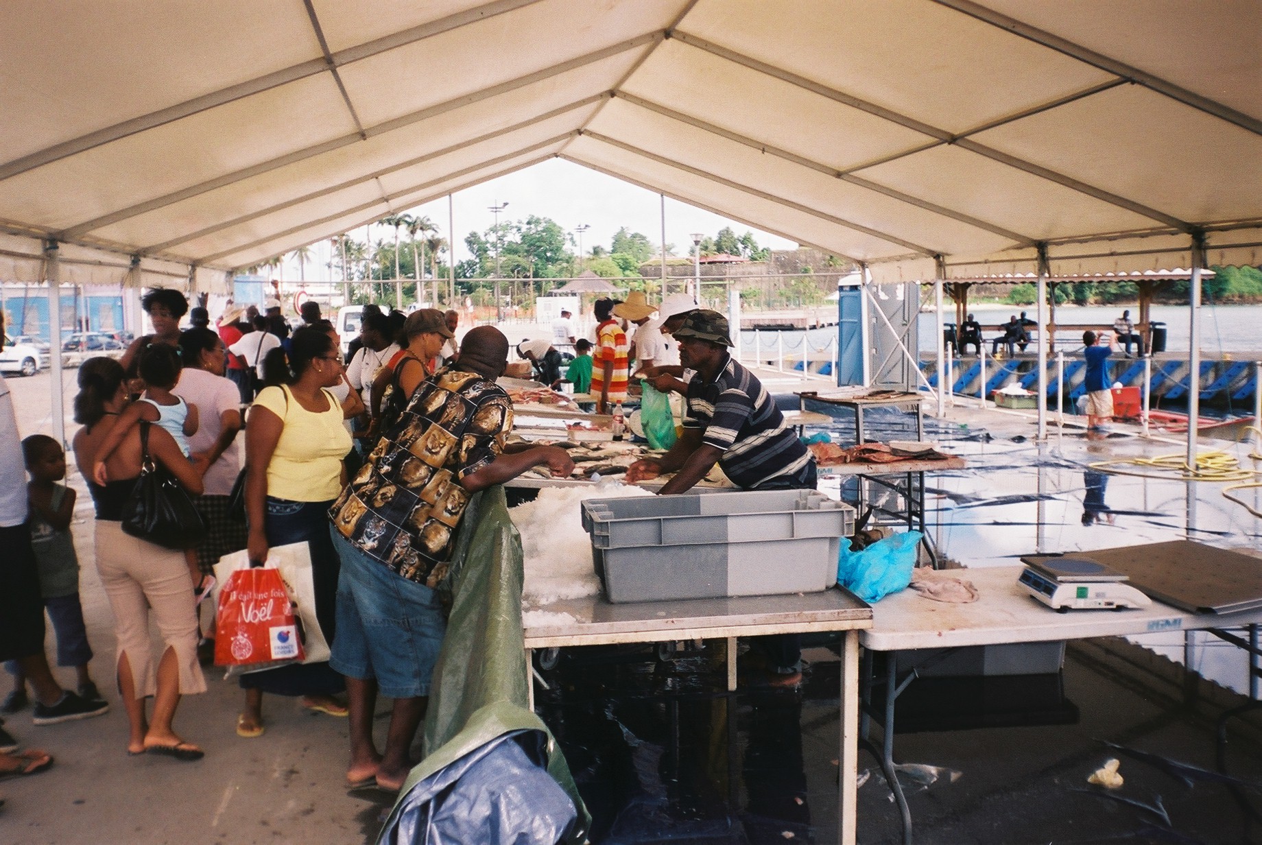 Marché aux poissons de Fort-de-France (Martinique) — avantages fiscaux Girardin économie locale