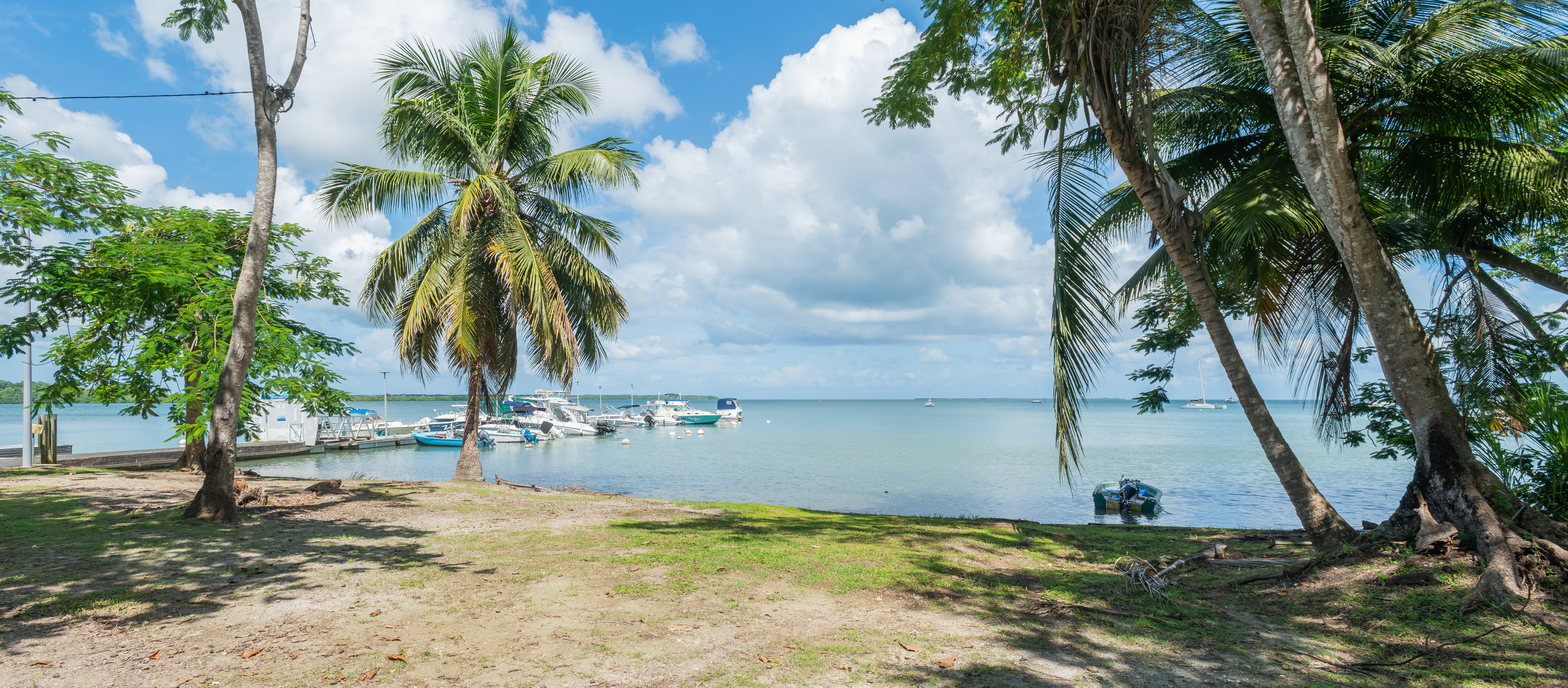 Port de Baie-Mahault (Guadeloupe) — infrastructures économiques sécurisées