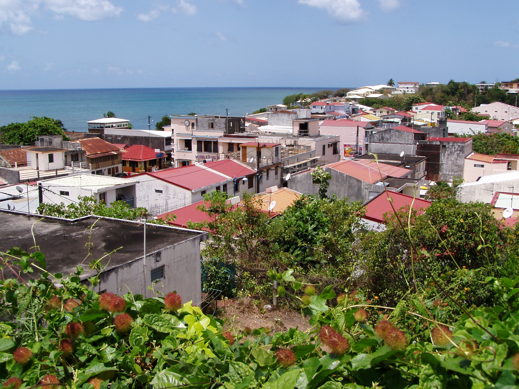 Vue sur Sainte-Luce, Martinique